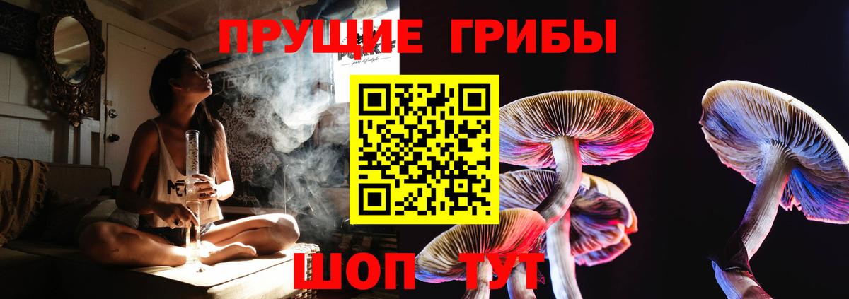 Моздок  Галлюциногенные грибы Psilocybe  Галлюциногенные грибы прущие грибы  Вход с VPN 